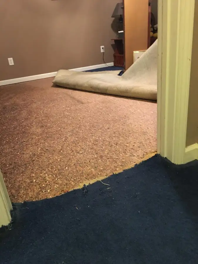 Carpet pad removal revealing water damage during Water Mitigation Services in Derby
